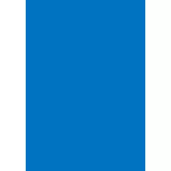   Colorama Colormatt 100 x 130 cm Electric PVC Background (LLCO5047)