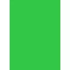   Colorama Colormatt 100 x 130 cm Spring Green PVC Background (LLCO7100)
