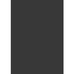   Colorama Colormatt 100 x 130 cm Coal PVC Background (LLCO9700)