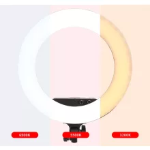 Jinbei EFR-36 Selfie Ring LED Light with L-180 Stand KIT