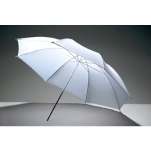 Godox 101 cm Translucent umbrella (UB-008)