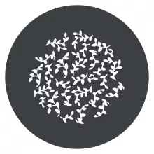 Godox GP-GS2 GOBO Set for MG1200Bi