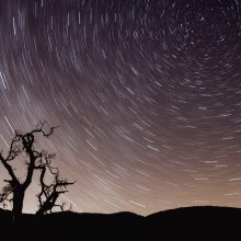 Godox XR Vevőegység - Canon/Nikon