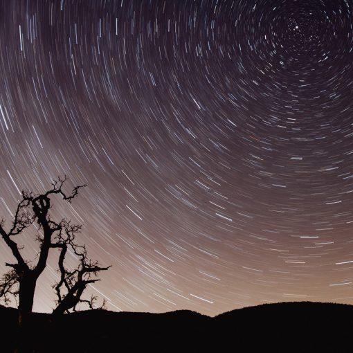 Godox XR-S Vevőegység - Sony