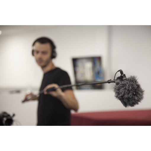 Rode Microphone - RØDE VideoMicro Compact On-Camera Microphon Rycote Lyre (VMicro)