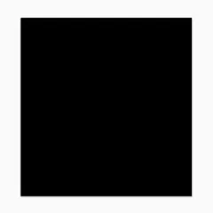 Jinbei 120x200 cm PVC background Black