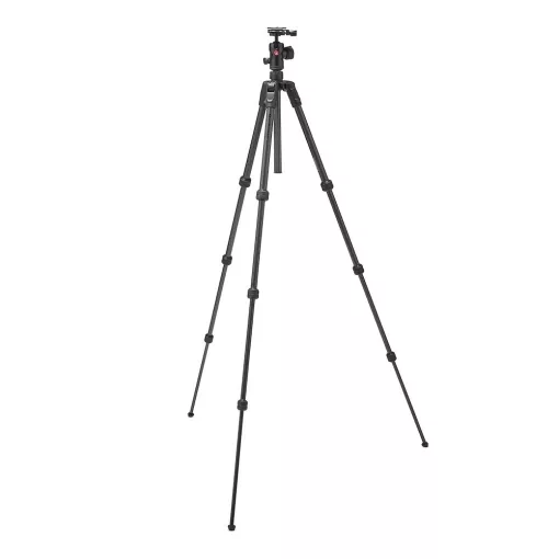 Manfrotto Befree karbon állvány tekerős zár + gömbfej Arca Swiss (MKBFRTC4FB-BH)